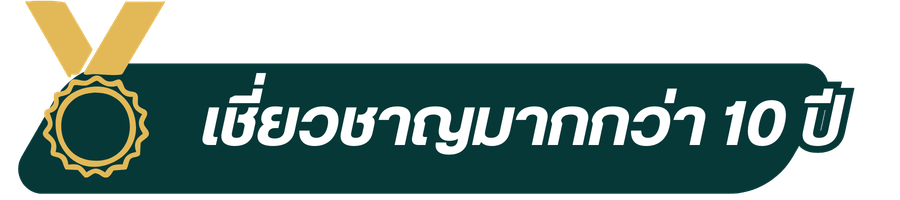 เชี่ยวชาญมากกว่า 10 ปี